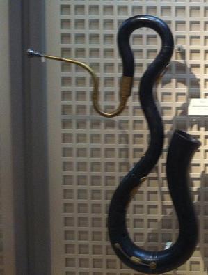 serpent militaire.JPG